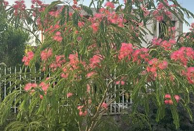 Casa de vanzare, in Slobozia, cartierul Peri - 5