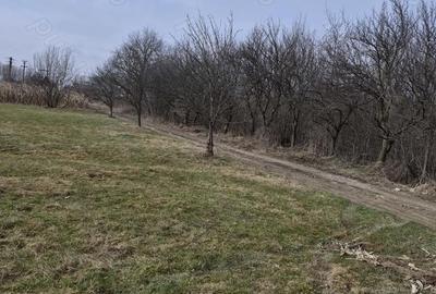 Teren de 1400 mp, în Central - 2