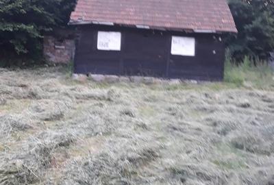 Casă în Timișu de Sus - 1