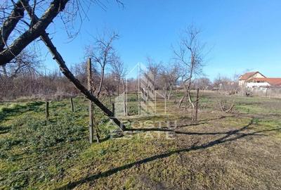 Casă cu 5 camere cu Teren 2158 Mp în Freidorf - 6