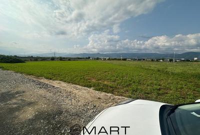 Teren agricol extravilan de 3000 mp, în Cristian - 1