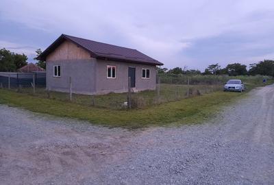 Casă cu 3 camere în Stejaru - 5