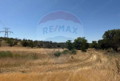 De vanzare Teren Extravilan- Cernavoda - 1