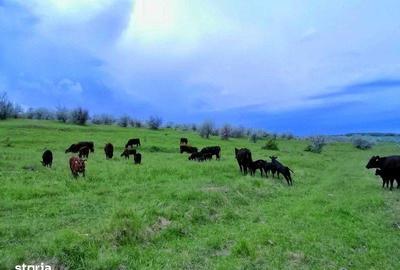 Casă cu 2 camere cu Teren 60 Mp în Șopotu Nou - 6