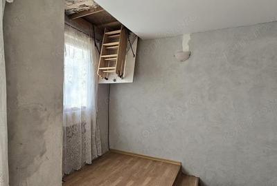 Casă cu 5 camere cu Teren 2763 Mp în Băița - 10