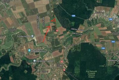 Snagov, CIolpani, Deschidere 61m DN1, Teren Intravilan 4906mp - 8
