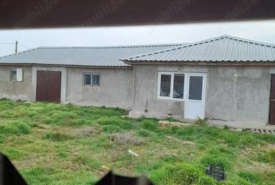 Casă cu 8 camere cu Teren 180000 Mp în Pietroiu - 3
