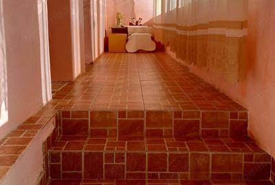 Vand casa in Baie?ti sau schimb cu apartament in Deva - 1