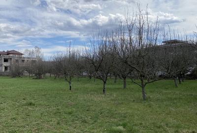 Teren în Pruni - 5