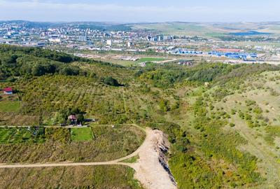 Vanzare Teren Intravilan 11.3 Ha Bucium PUZ+CU valabil Case D+P+E+M - 3