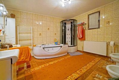 VILA CU PISCINA SCROVISTEA, IDEALA CAMIN DE BATRANI - 13