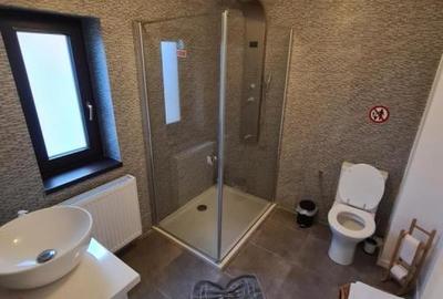 Unique aesthetic view Busteni new house 300sqm - 12