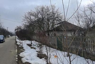 Casă cu Teren 2000 Mp în Cuza Vodă - 2