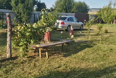 Casă cu 3 camere în Podu Turcului - 4