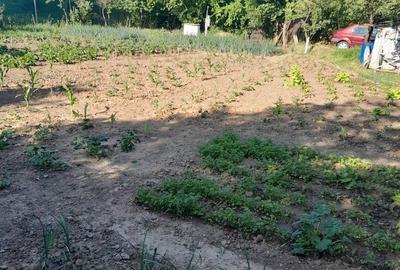 Casă cu 4 camere în Măstăcani - 5