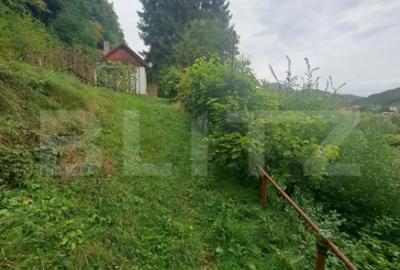 Casă cu 2 camere cu Teren 1000 Mp în Vulcan - 6