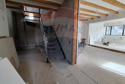 Casă cu 5 camere cu Teren 4000 Mp în Valea Voievozilor - 9