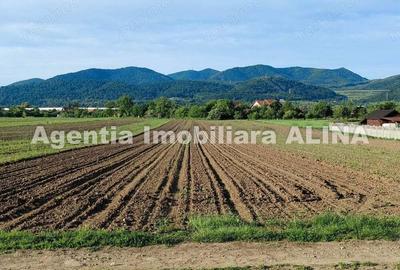 Teren de 4094 mp, în Central - 1