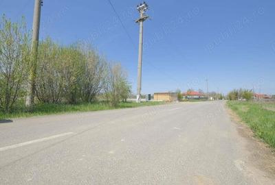 Snagov - Ciofliceni - Str. Dimitrie Cantemir, 937 mp. teren intravilan ideal constructie casa - 2
