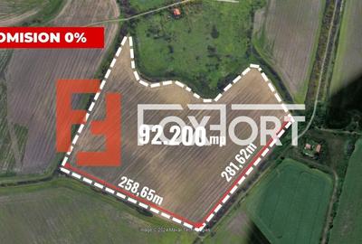 Teren agricol extravilan de 92200 mp, în Mehala