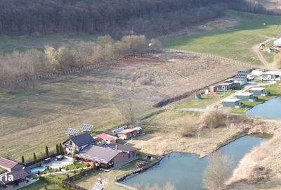 Spațiu comercial, în Laslea - 4