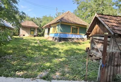 Casă cu Teren 2400 Mp în Mănăștur - 1