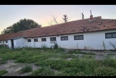 Teren+Construcții agricole (fost CAP) - 3