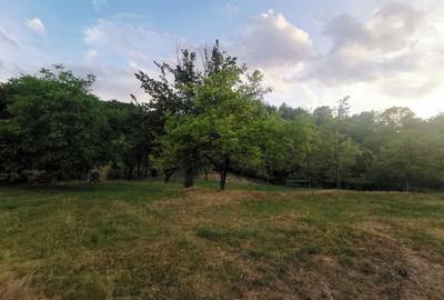 Casă cu 4 camere în Cacova Ierii - 1