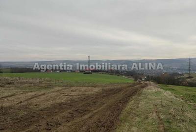 Teren 3525 mp in Satul Pestisu Mare, Jud. Hunedoara si casa neterminata... - 5