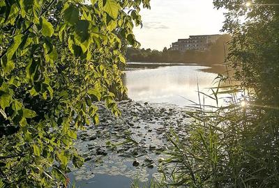 Casă cu 4 camere cu Teren 207 Mp în Central - 12