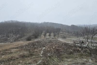 Casă cu 2 camere cu Canalizare în Mitrofani - 10