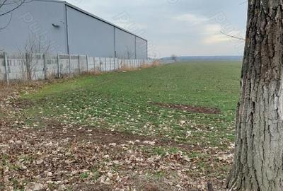 Teren de 2500 mp, în Moara Domnească - 2