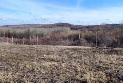 Teren Construcții de 117000 mp, în Râmeț - 1