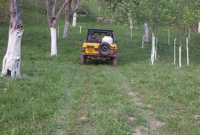 Teren de 9000 mp, în Pogara - 4