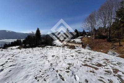 Teren Construcții intravilan de 2623 mp, în Colibița - 8