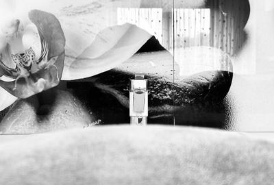 Apartament modern, Kaufland- Vedere spre Padurea Verde | Parcare - 24