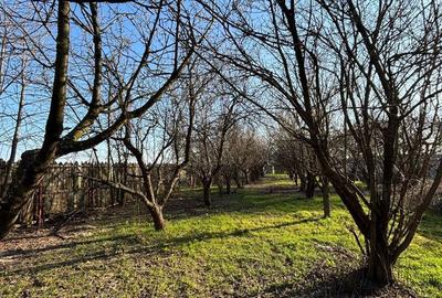 Casă cu 3 camere în Jiul - 6