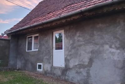 Casa de vanzare - 4