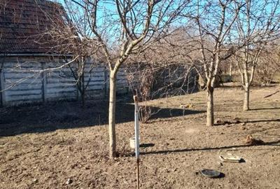 Teren 936 mp pt Duplex in Timisoara ...150euro/mp !!!! - 5