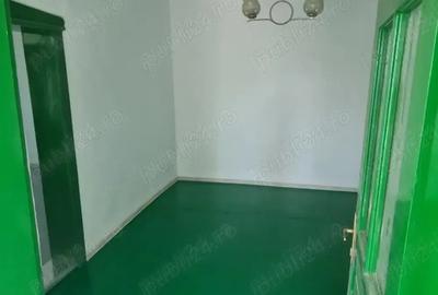 Casa cu teren 2000 m.p. - 3