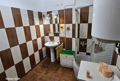 Spațiu industrial, de 40 mp, în Crișan - 3