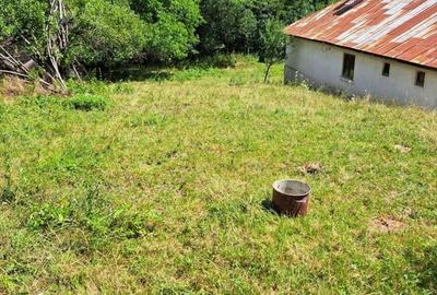 Spațiu comercial, în Bercești - 1