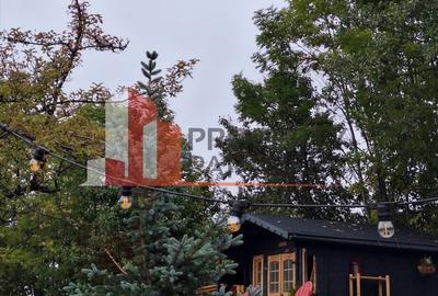 Casă individuală cu 4 camere cu Teren 3812 Mp în Bran - 13