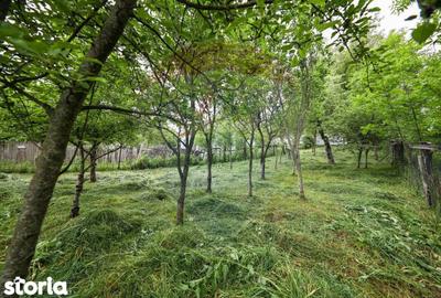 Casă cu 5 camere cu Teren 396 Mp în Nord - 1