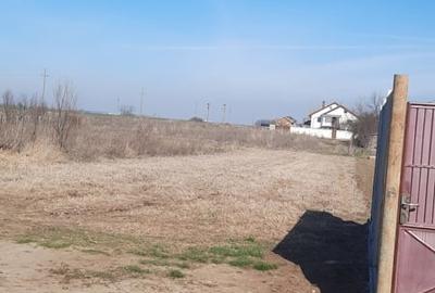 Teren de 1000 mp, în Coșoveni - 1