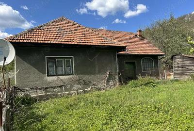 Casă cu 3 camere cu Teren 1000 Mp în Vulcan - 8