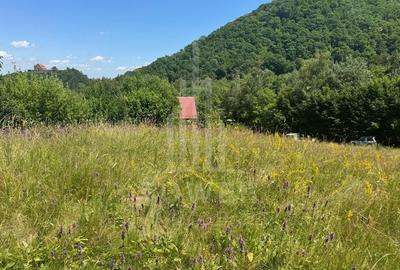 Teren intravilan 4600mp - 55 EUR/mp - EXCLUSIVITATE CISNADIOARA - COMISION 0% - 13