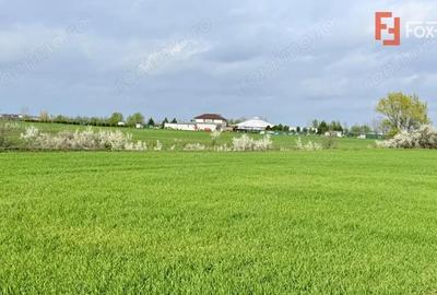 Teren de 502 mp, în Săcălaz