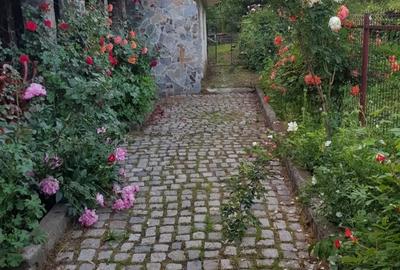 Casa de vanzare - 4