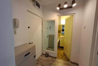 INCHIRIERE-APARTAMENT 2 CAMERE-ZONA PALAS - 7